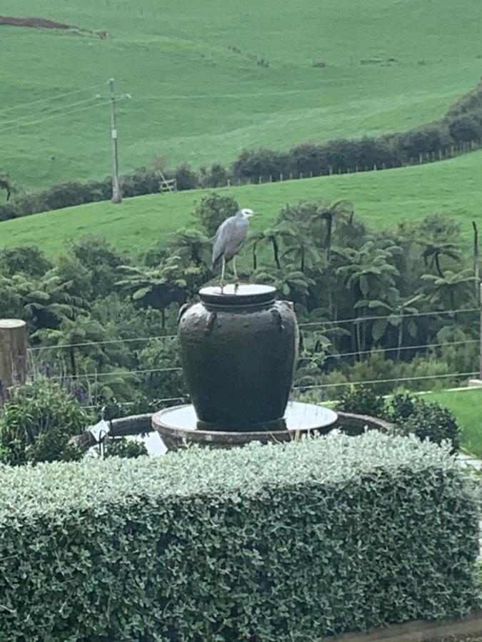 Arohanui Rural Retreat B&B Tauranga Eksteriør billede
