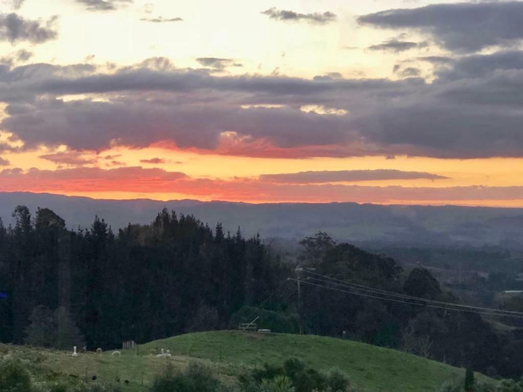 Arohanui Rural Retreat B&B Tauranga Eksteriør billede