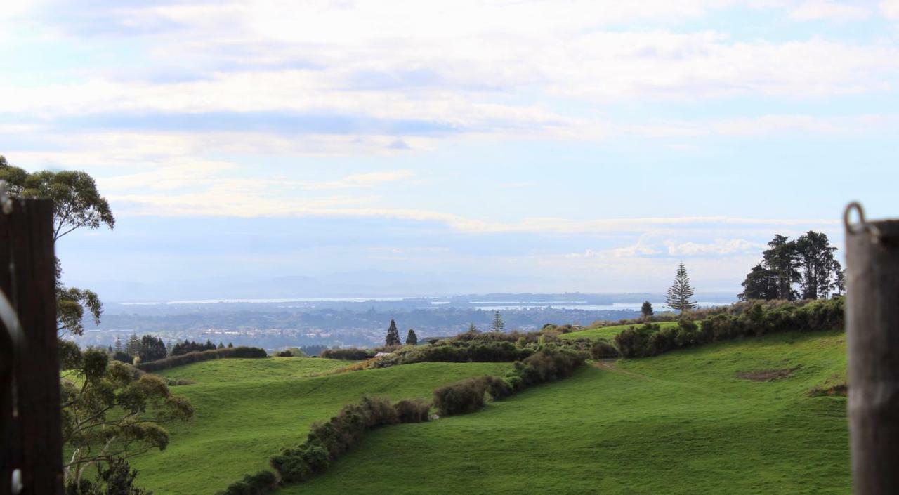 Arohanui Rural Retreat B&B Tauranga Eksteriør billede