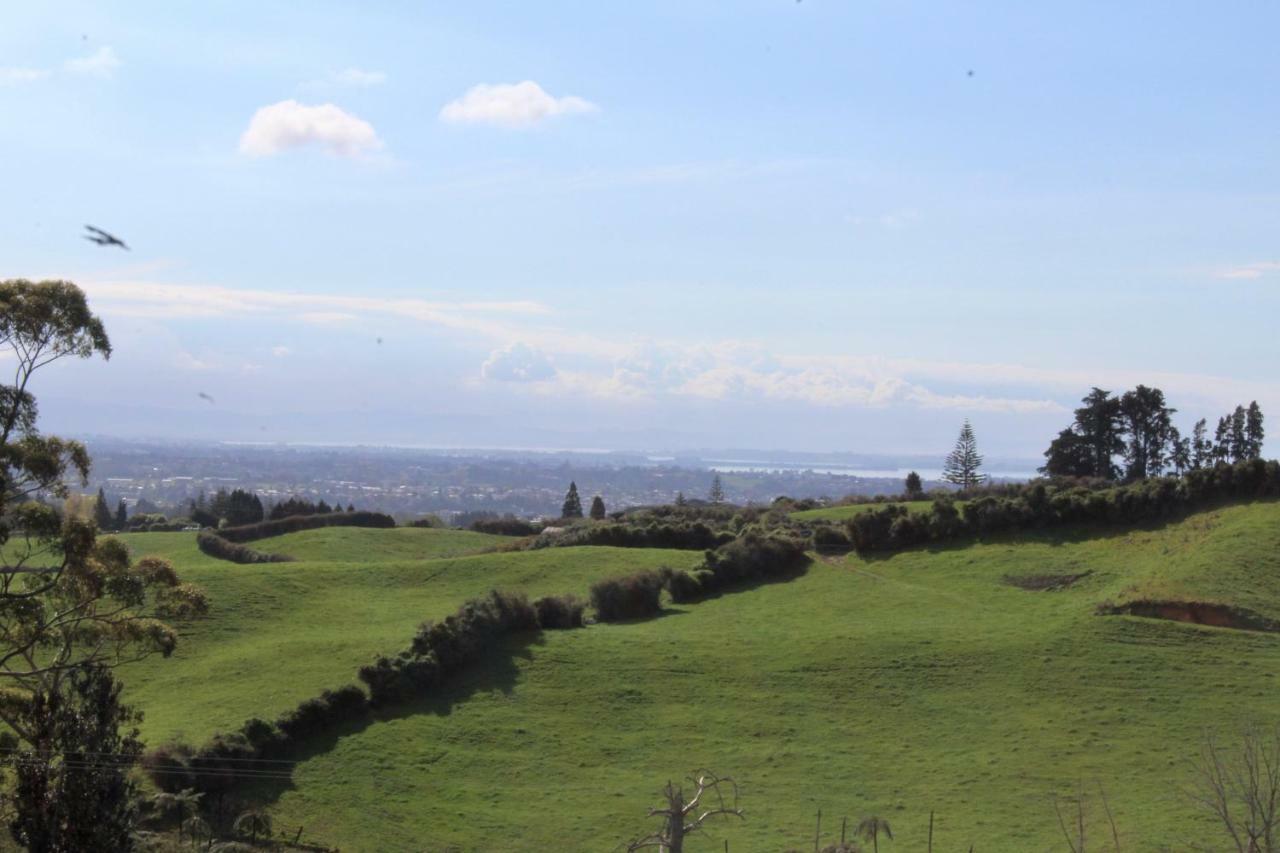 Arohanui Rural Retreat B&B Tauranga Eksteriør billede